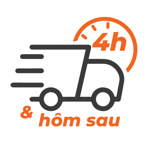 Giao nhanh nội thành HCM